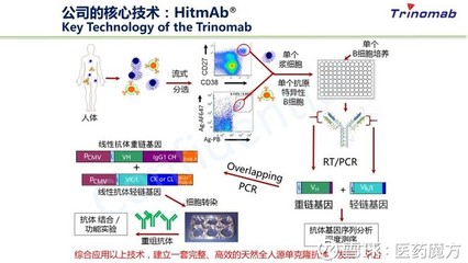單克隆抗體藥物的迭代 從實(shí)驗(yàn)室發(fā)現(xiàn)到臨床應(yīng)用的技術(shù)革命