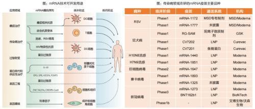 細(xì)胞技術(shù) 掘金近5000億藍(lán)海，把握前沿領(lǐng)域的十倍股機(jī)遇
